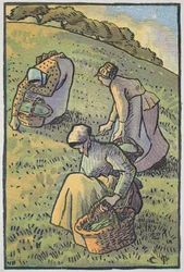 Women Gathering Mushrooms, de &39;Travaux des Champs&39;, gravada por Lucien Pissarro (1863-1944), publicada em Londres, 1893